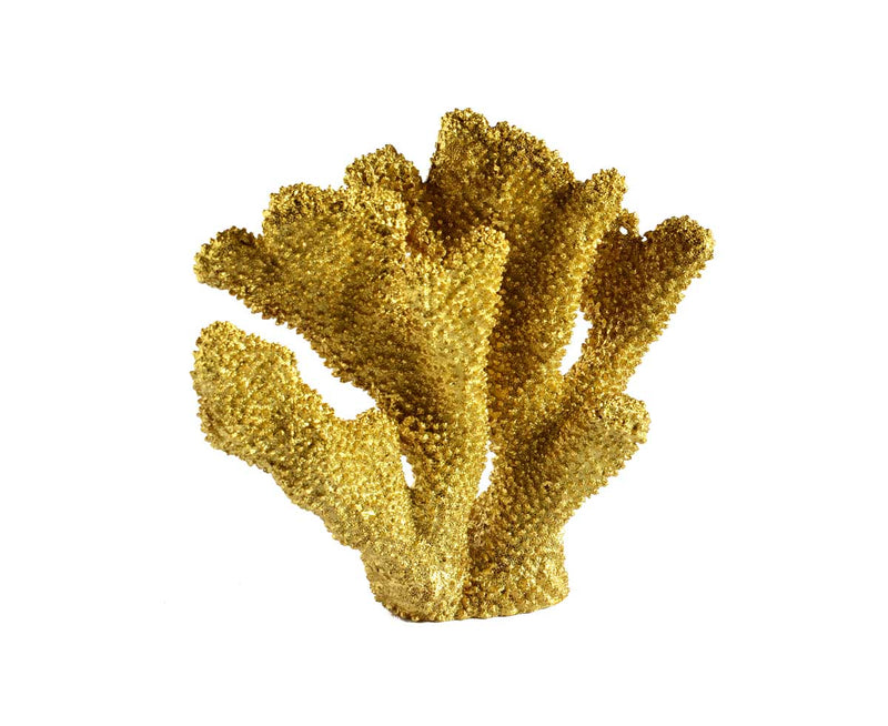 Coral ear gold