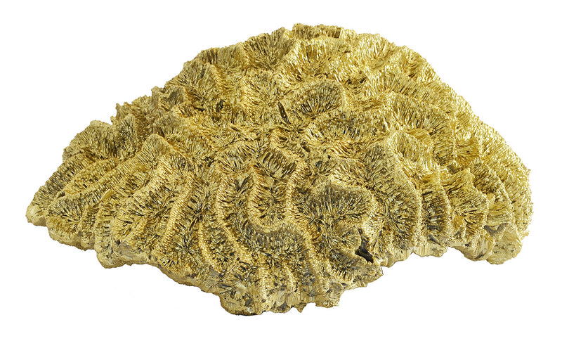 Coral Brain Large Gold